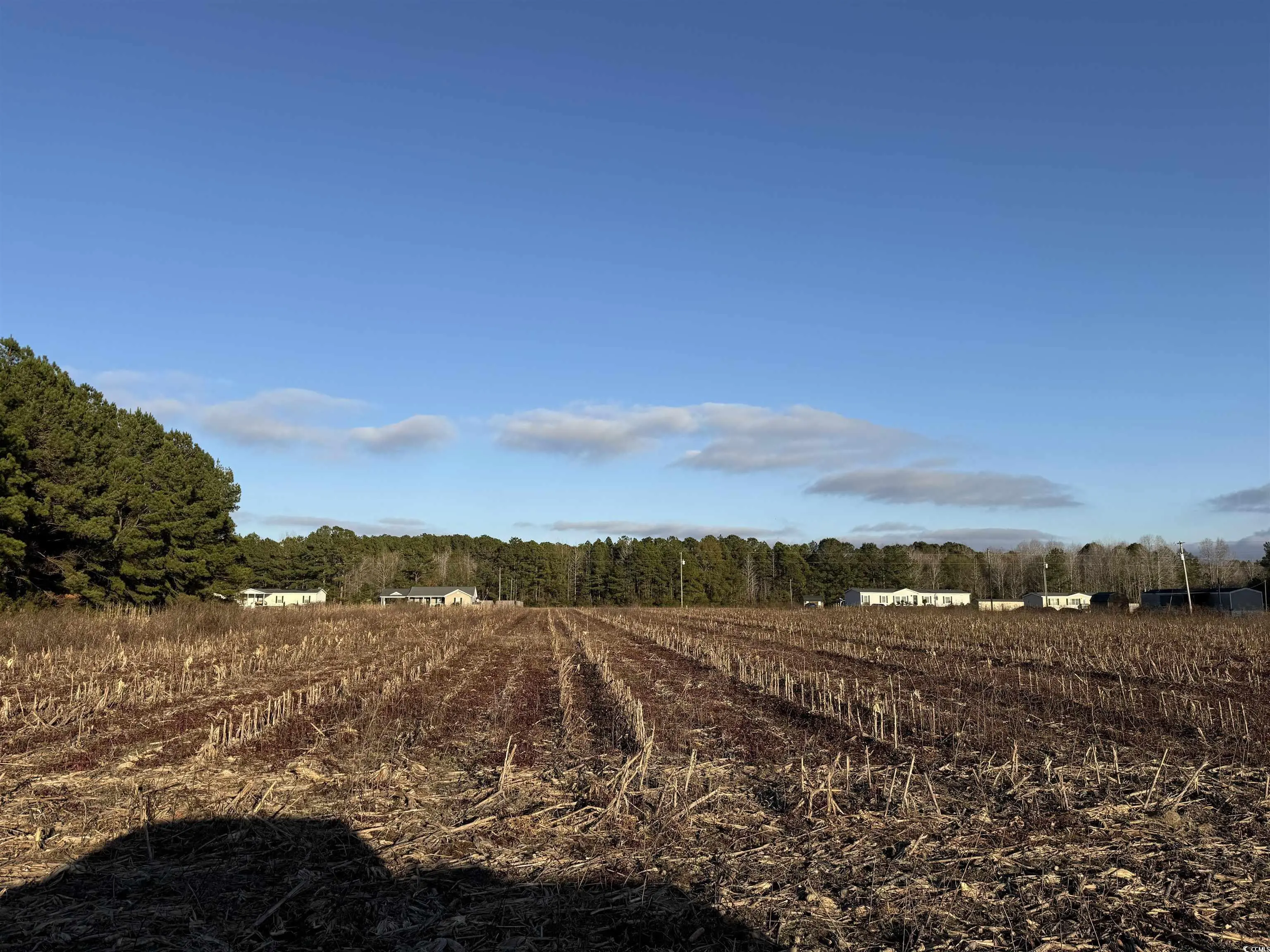 Photo of Listing #2529134