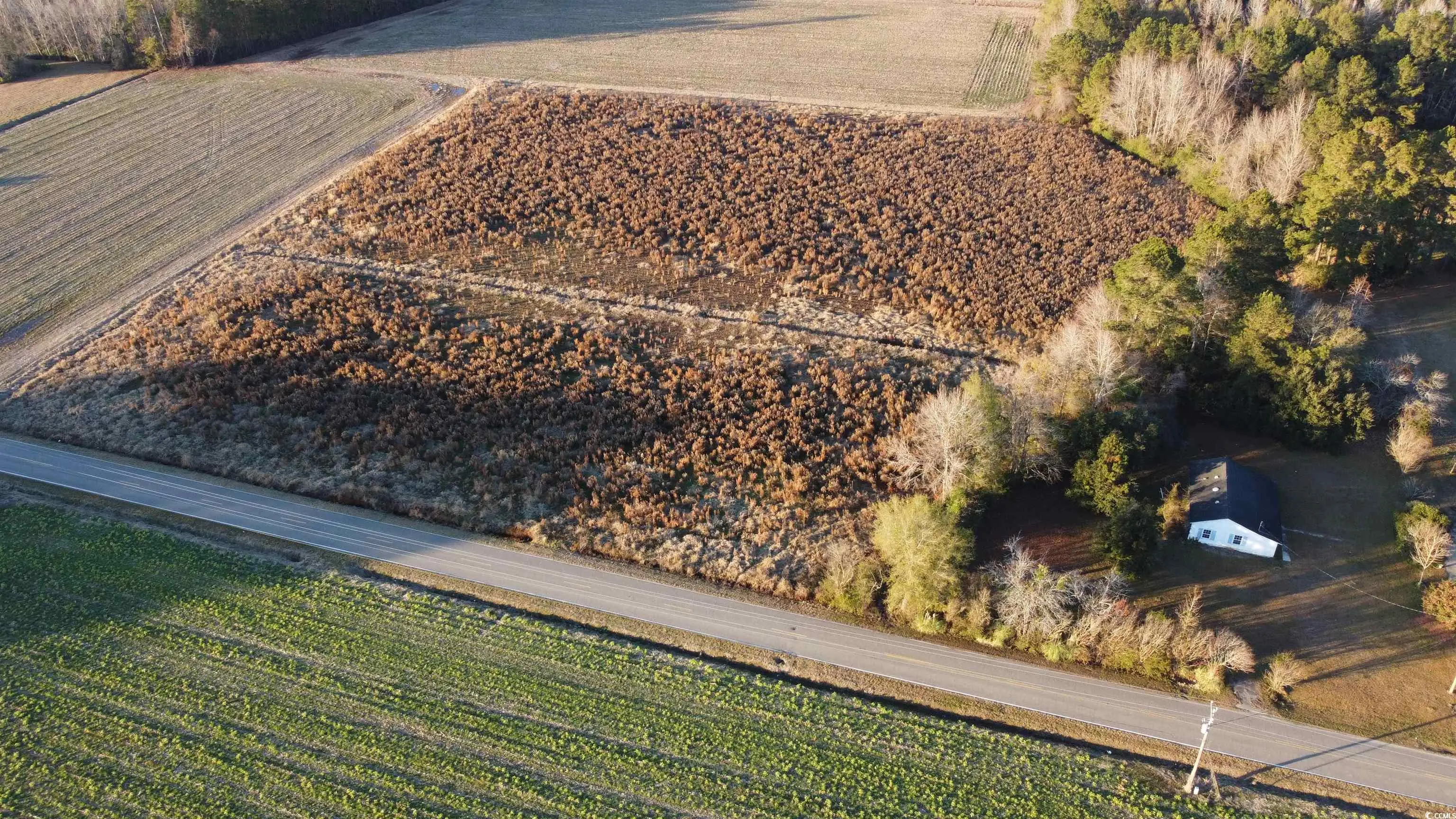 Photo of Listing #2529155