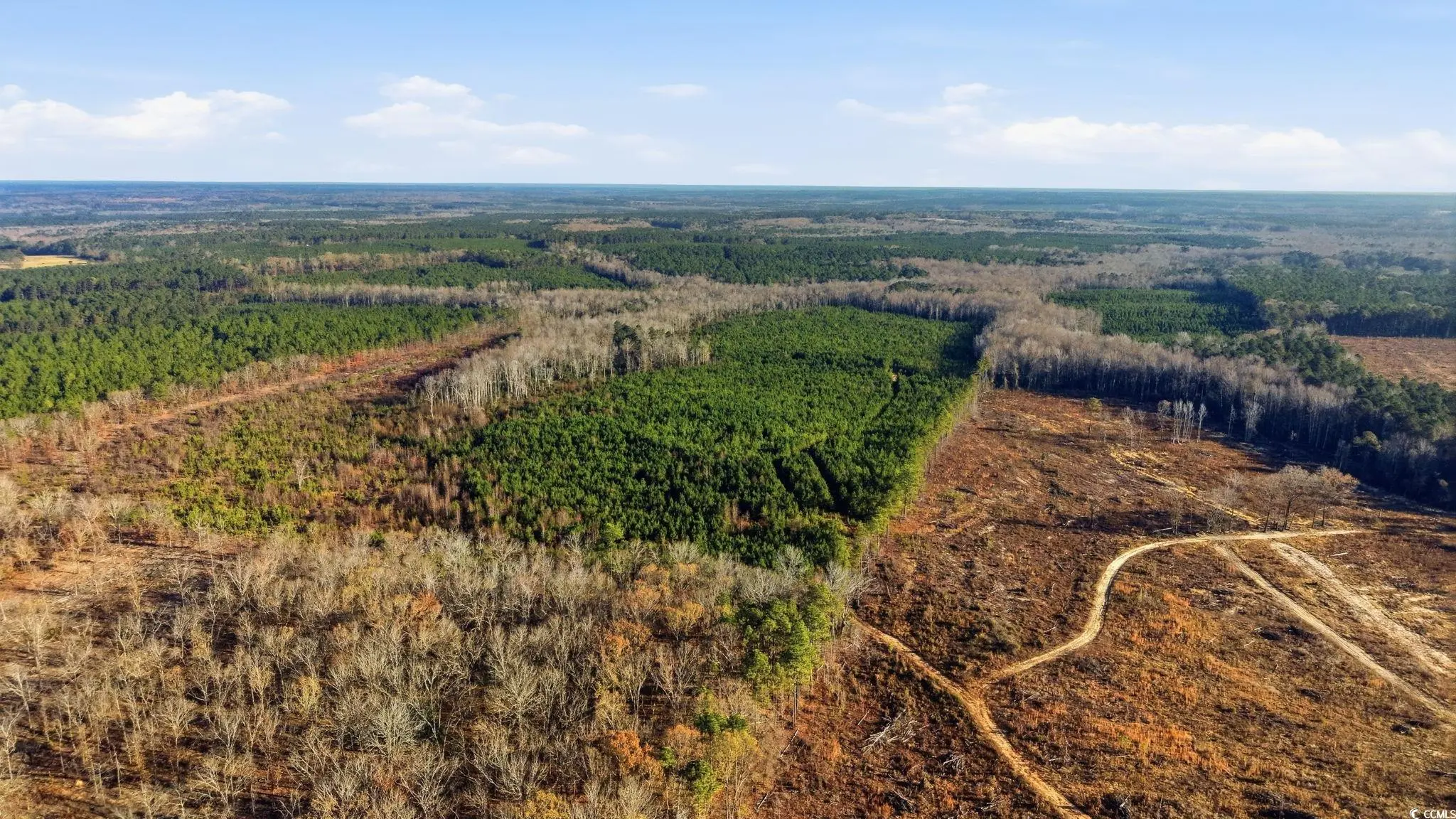 Photo of Listing #2529512