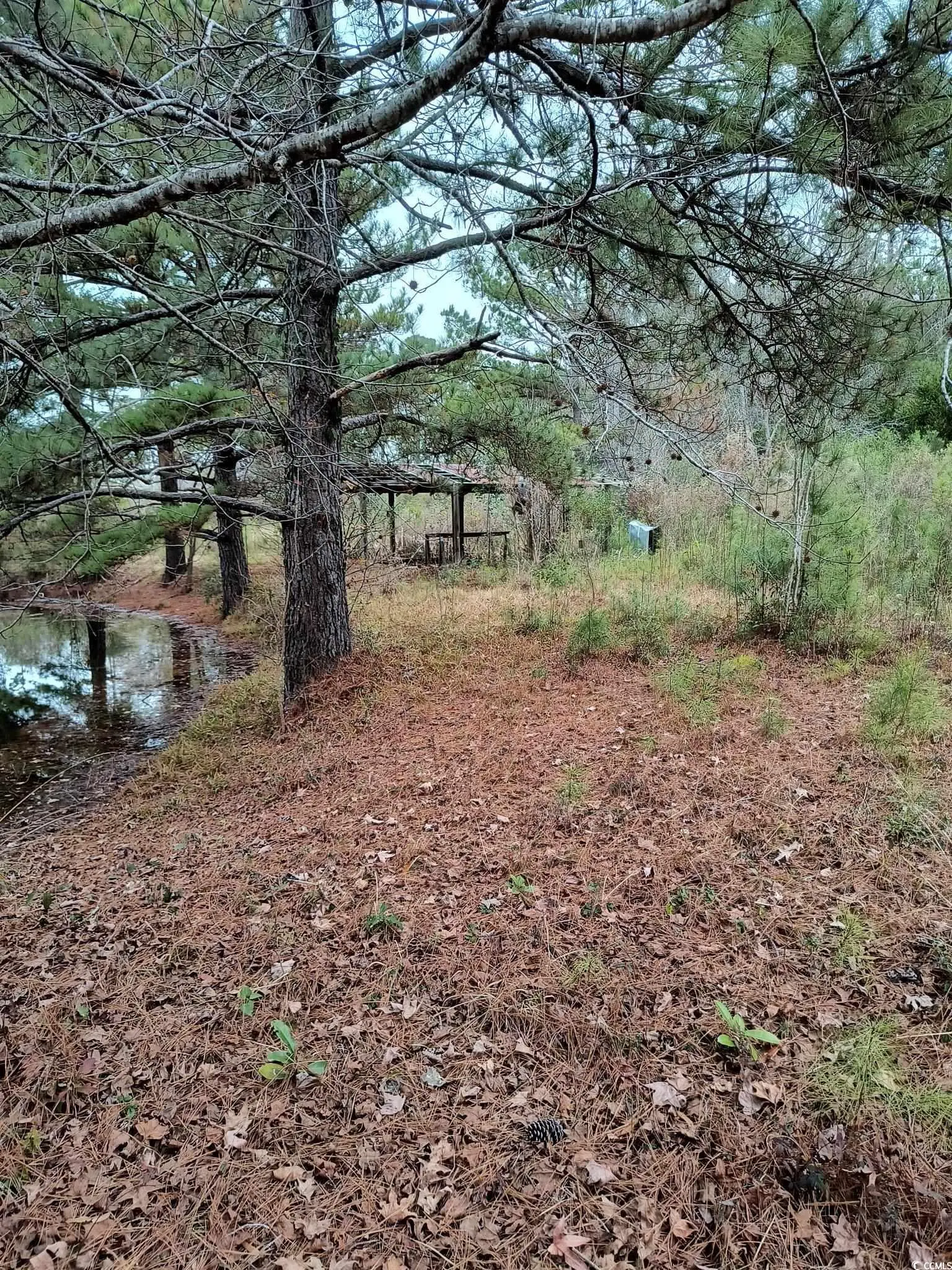 Photo of Listing #2600106