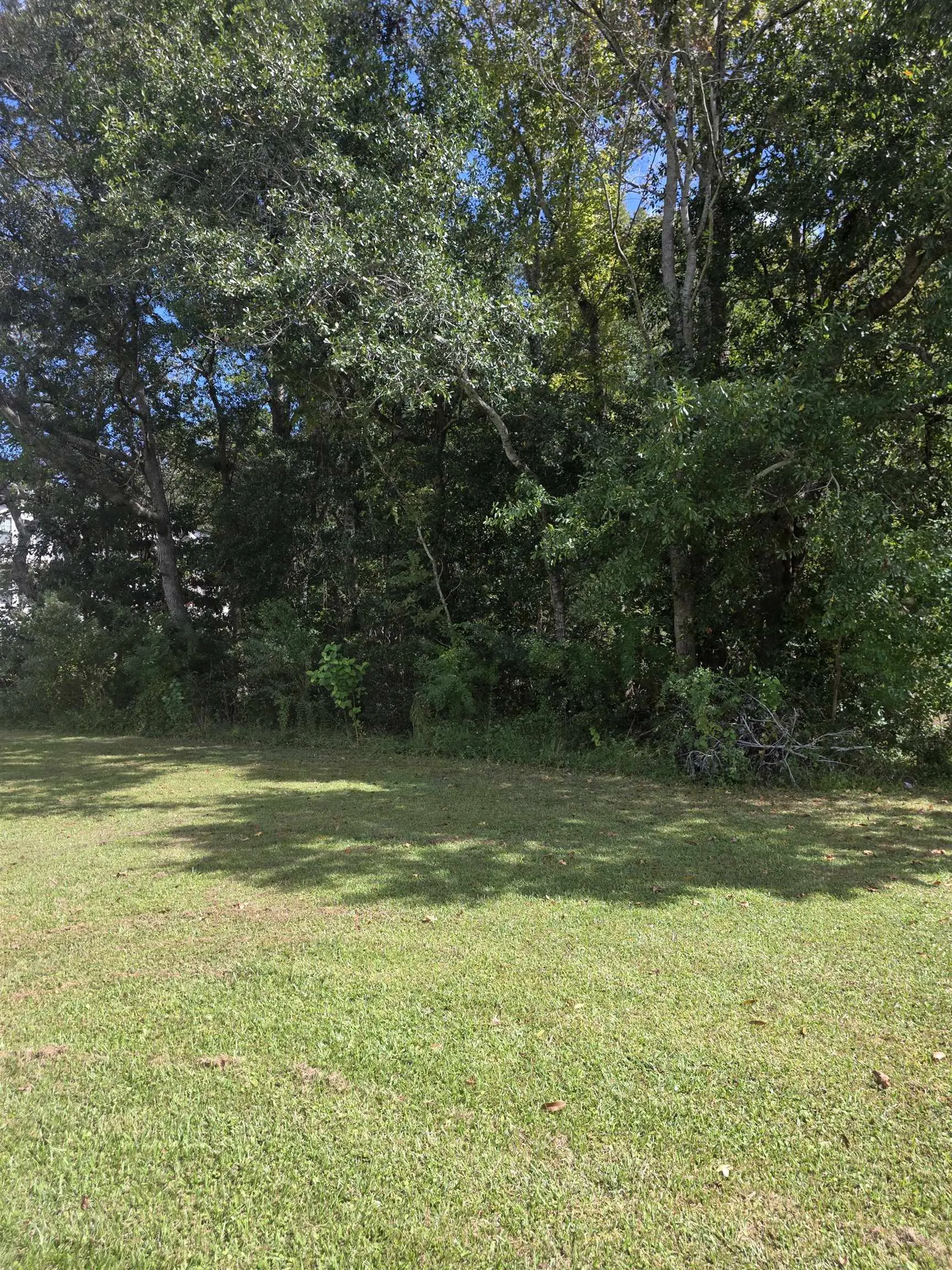 Photo of Listing #2602309