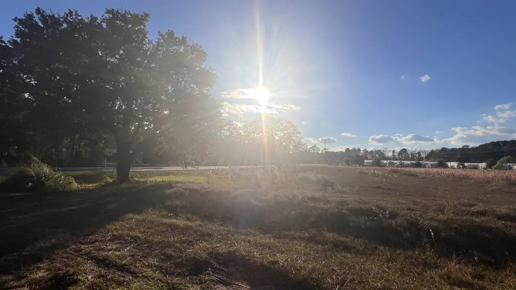 10.79 Acres Highway 90, Longs