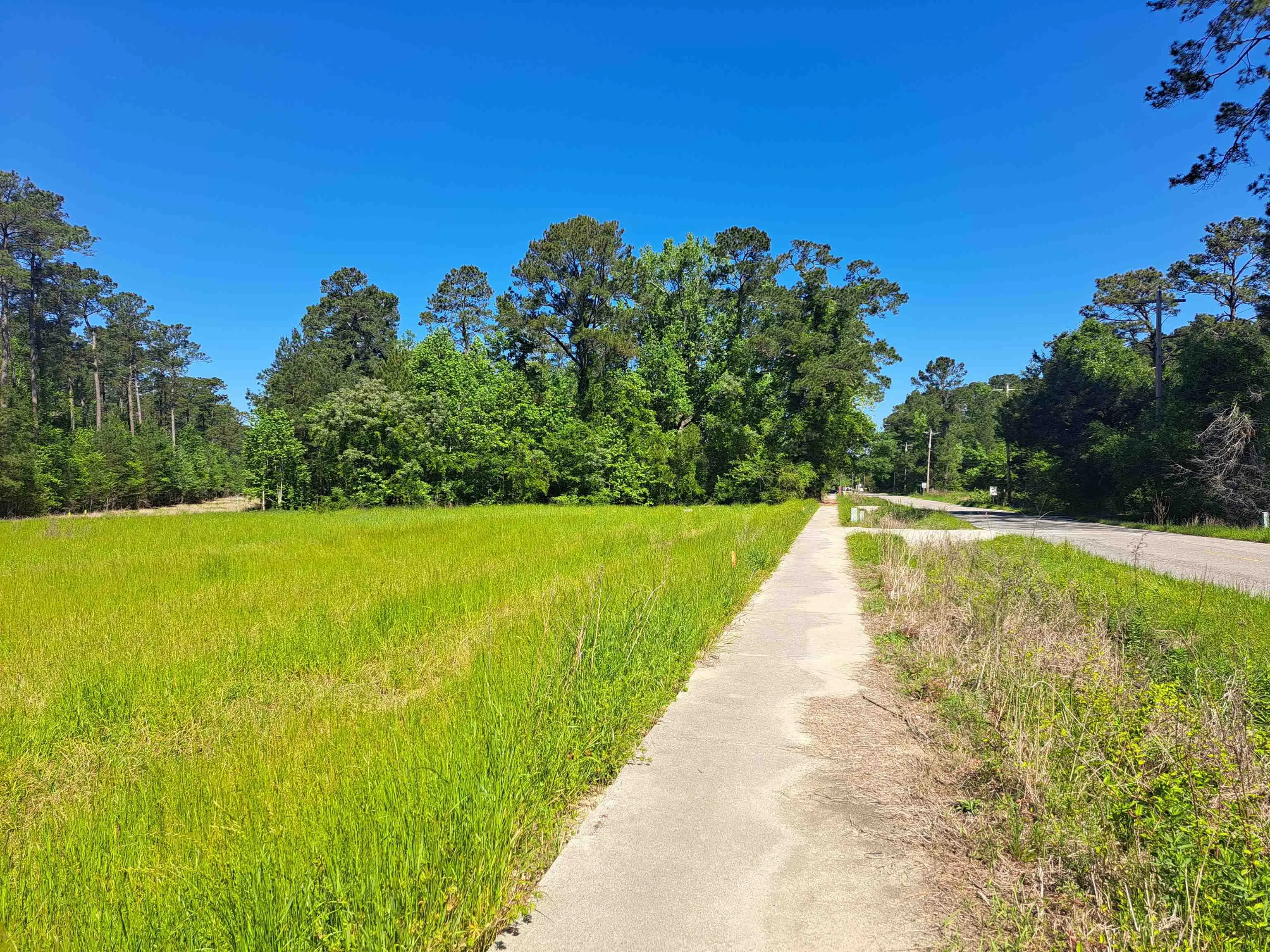 Photo of Listing #2602756