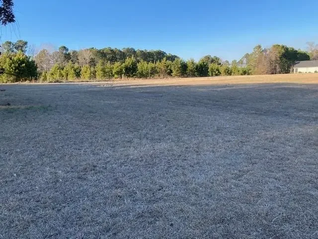 Photo of Listing #2603163