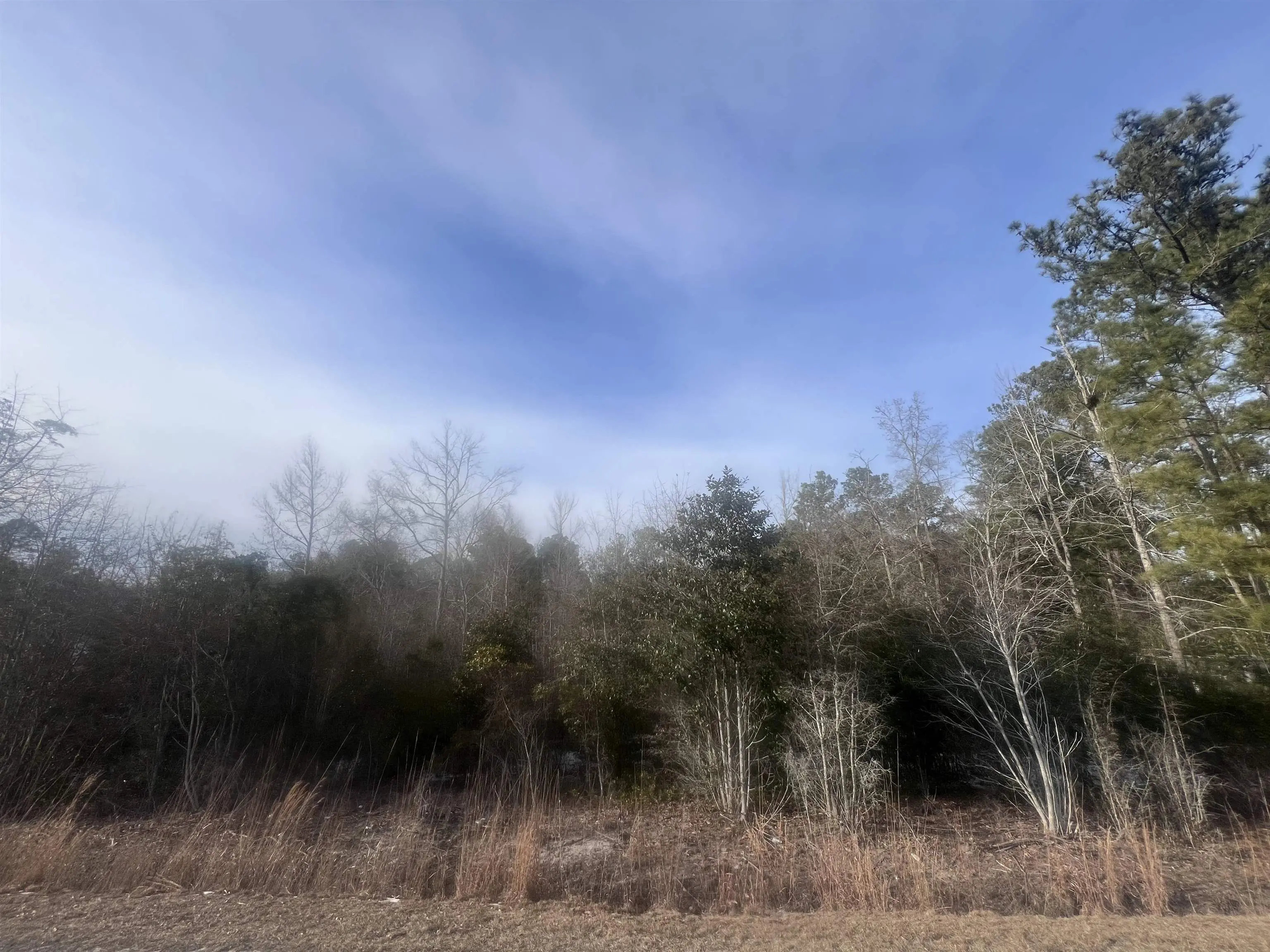 Photo of Listing #2603207