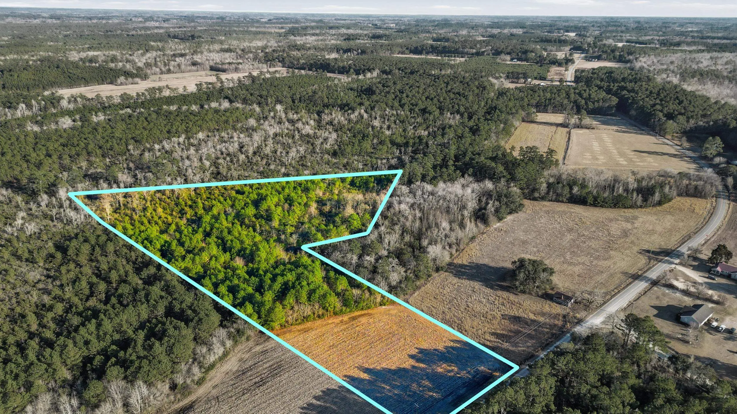 Photo of Listing #2603429