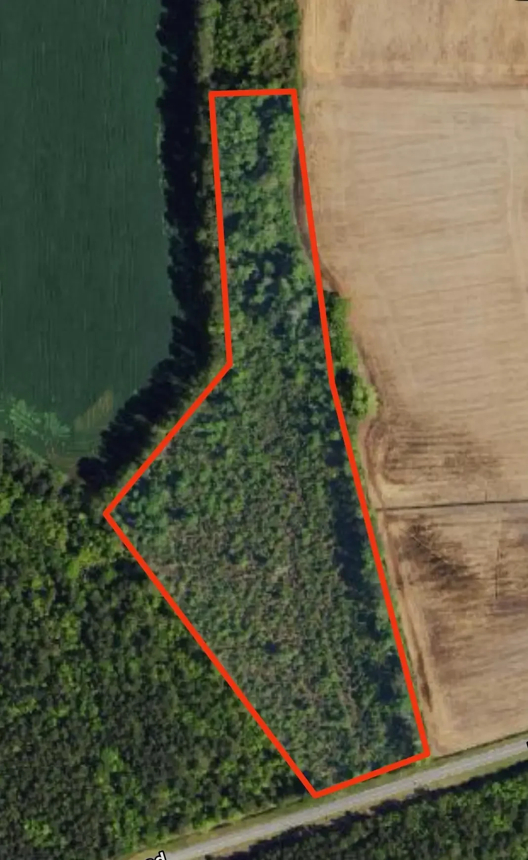 Photo of Listing #2603723