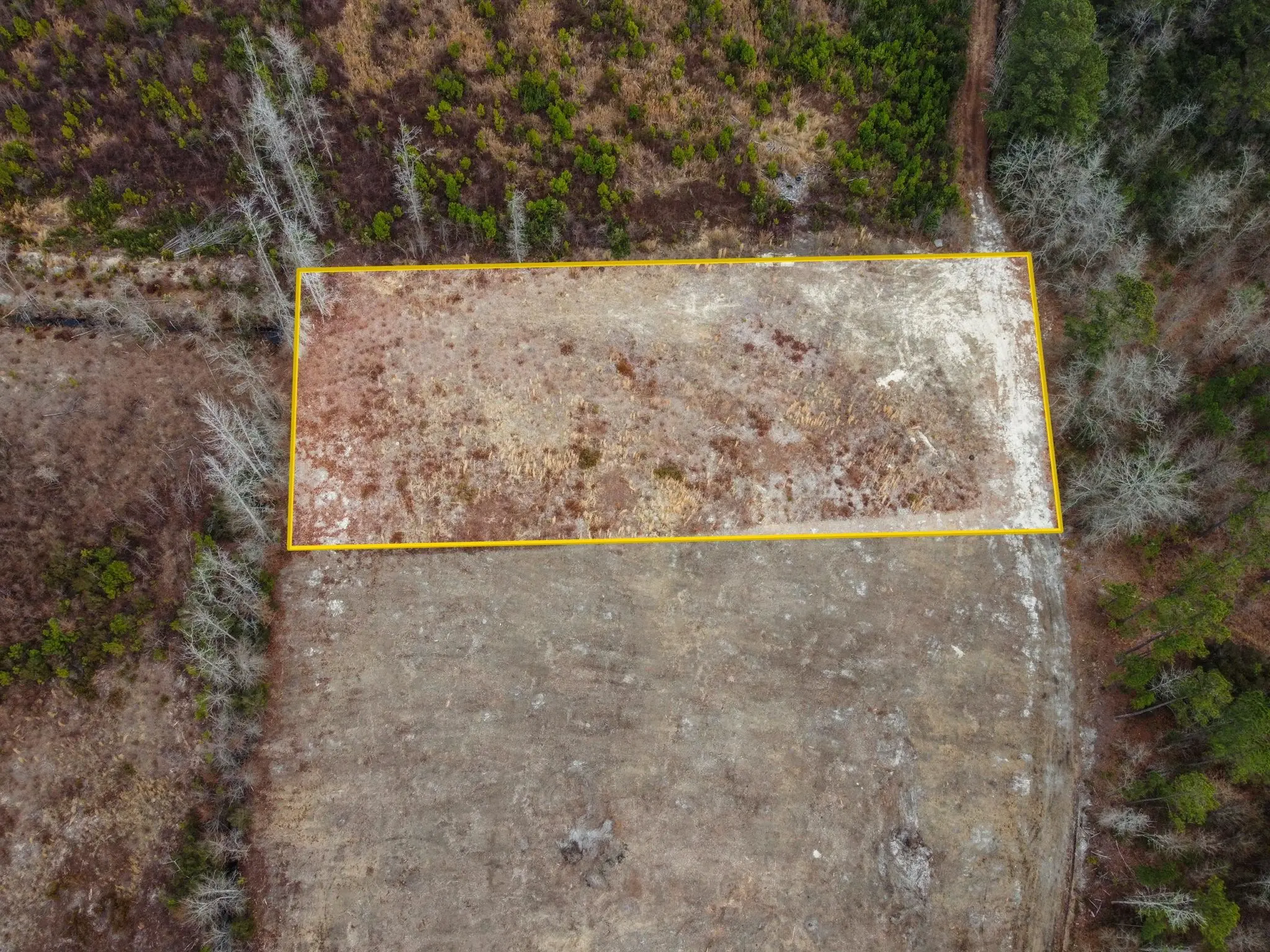 Photo of Listing #2605048