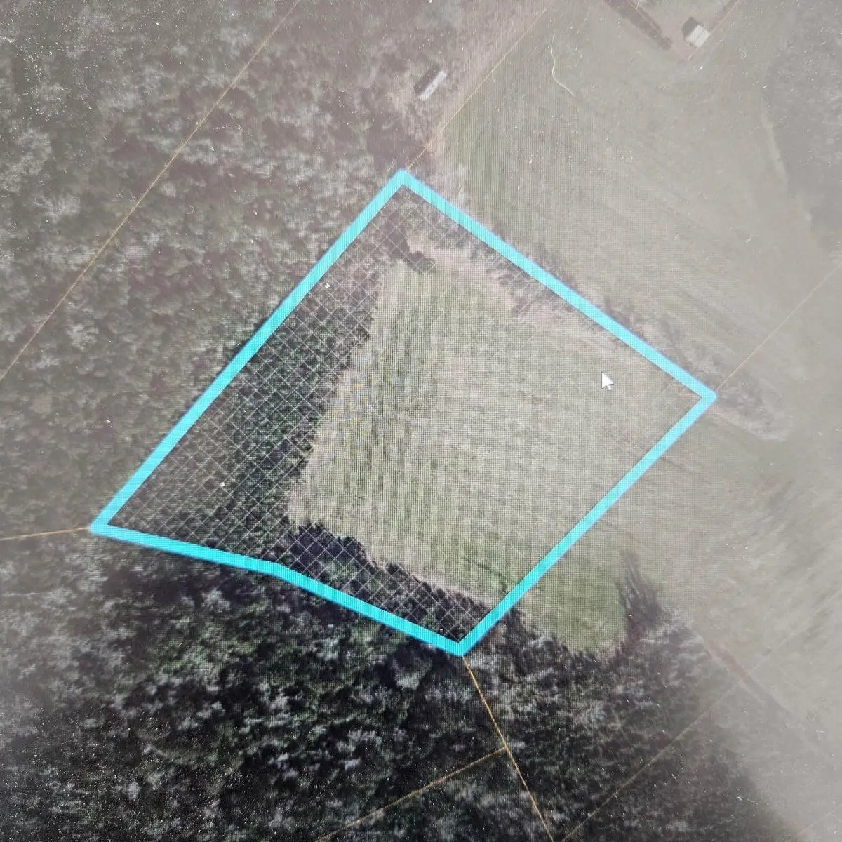 Photo of Listing #2605613