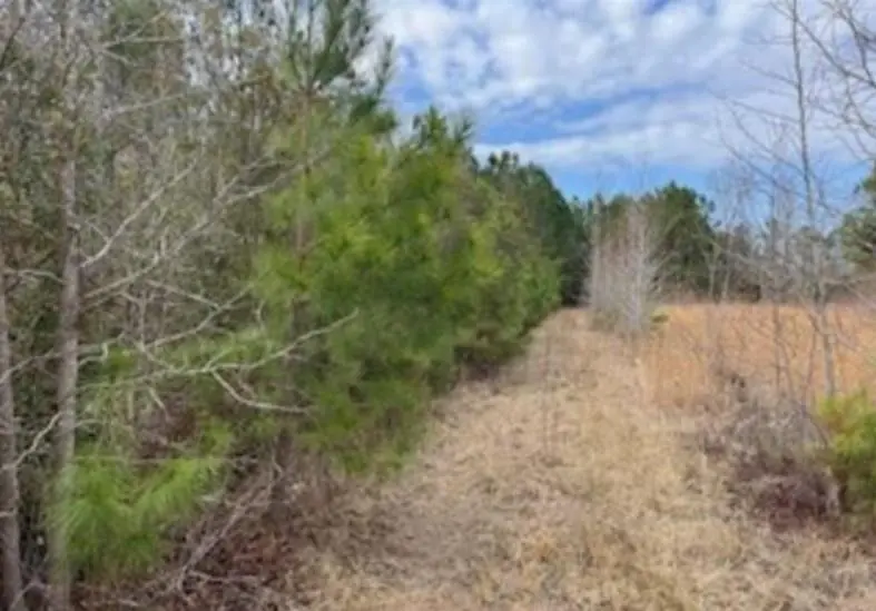 Photo of Listing #2605626