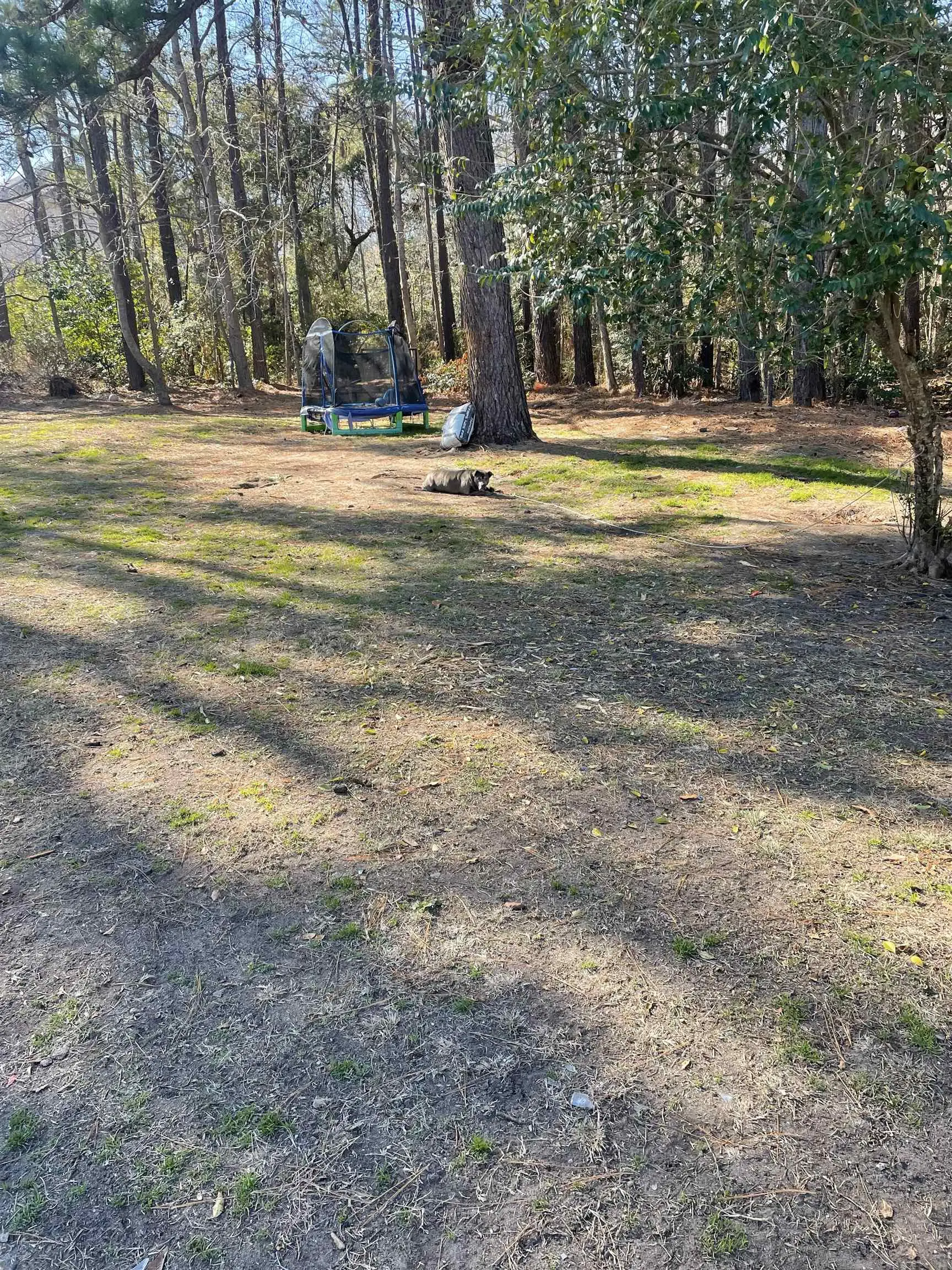 Photo of Listing #2605932