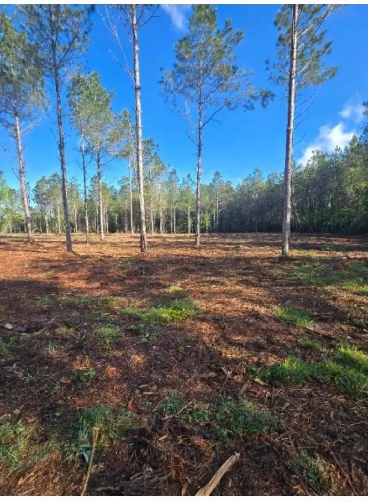 Photo of Listing #2606194