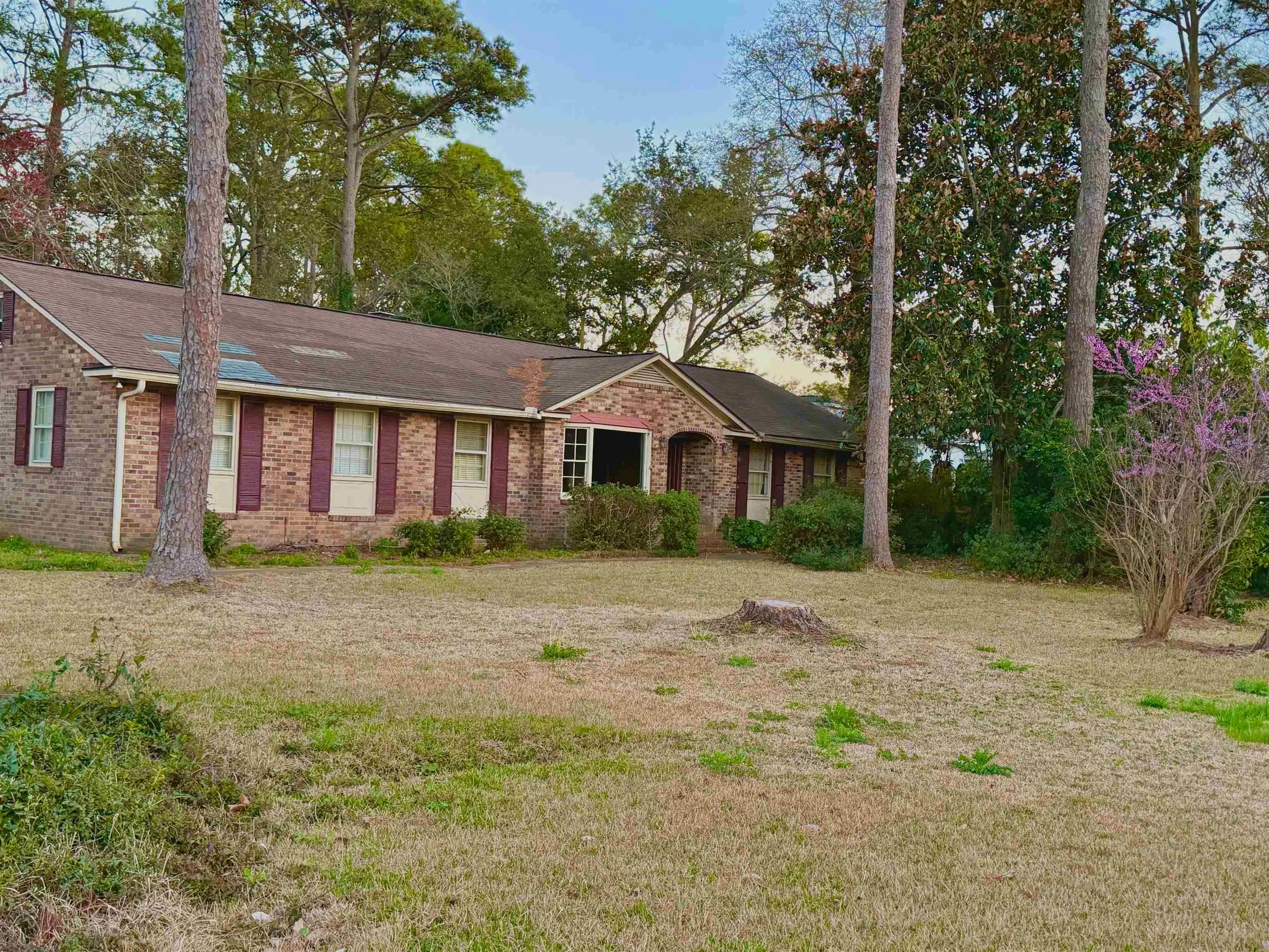 Photo of Listing #2606519