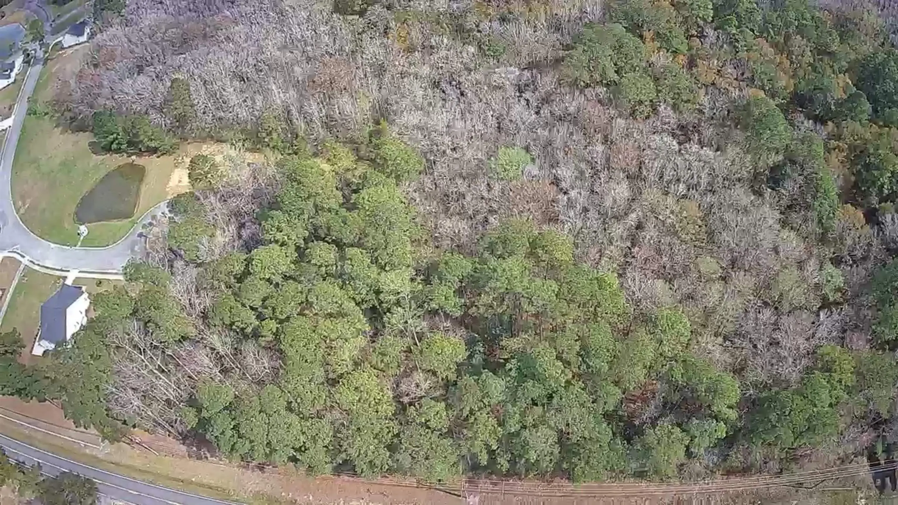 Photo of Listing #2607181