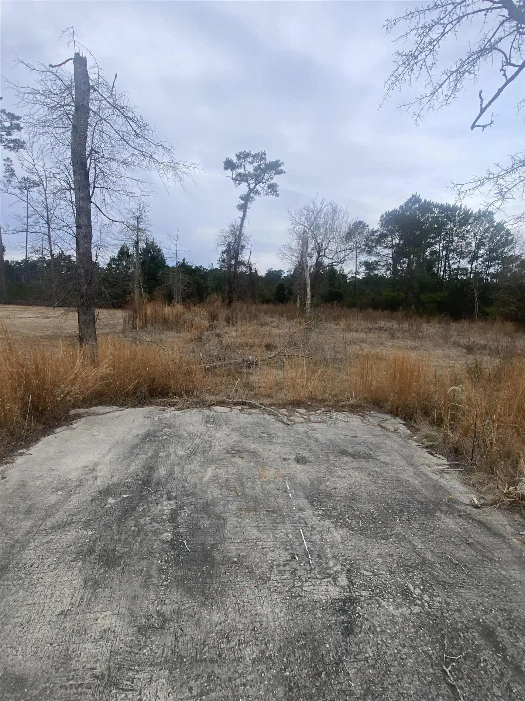 Photo of Listing #2607665