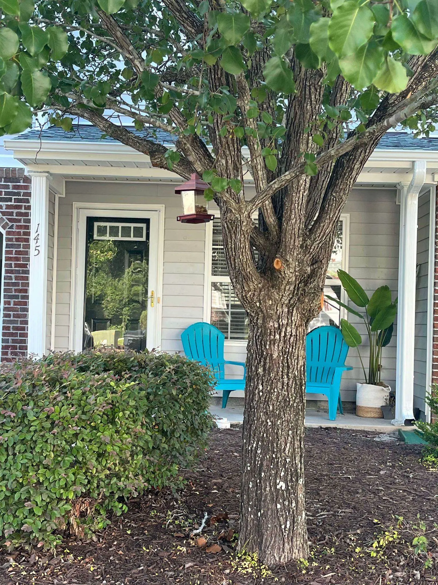 Photo of Listing #2608208