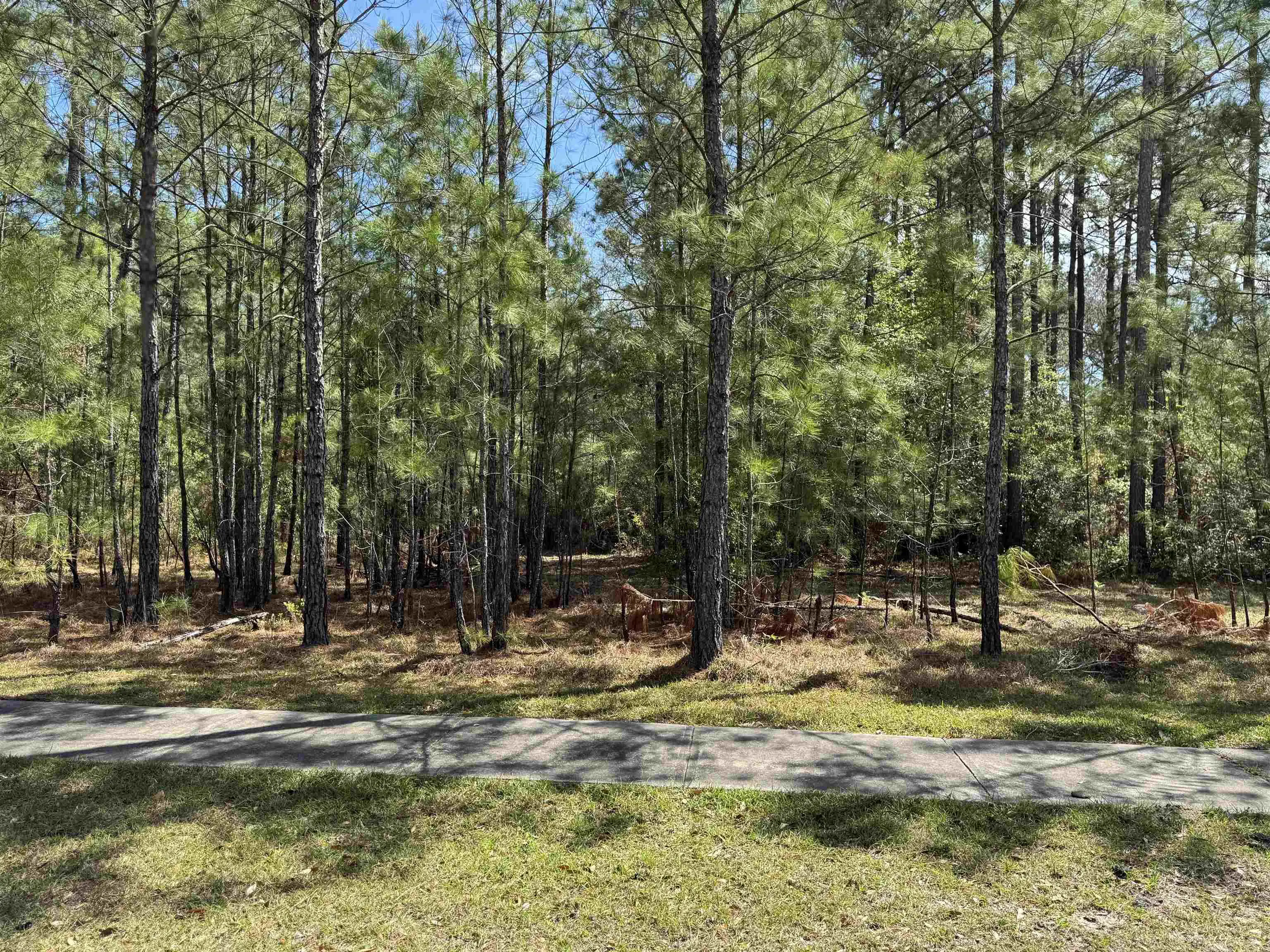 Photo of Listing #2608429