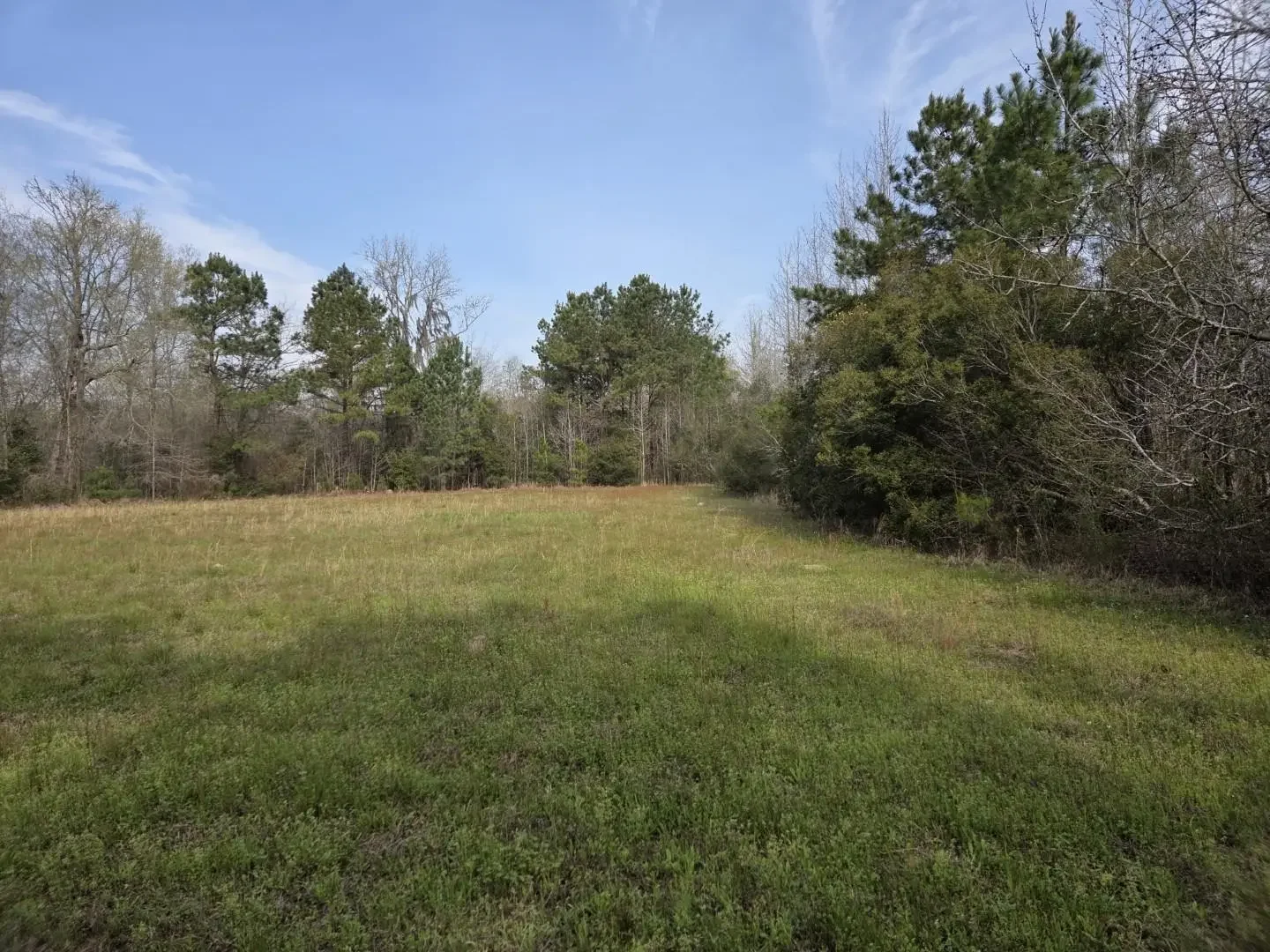 Photo of Listing #2608448