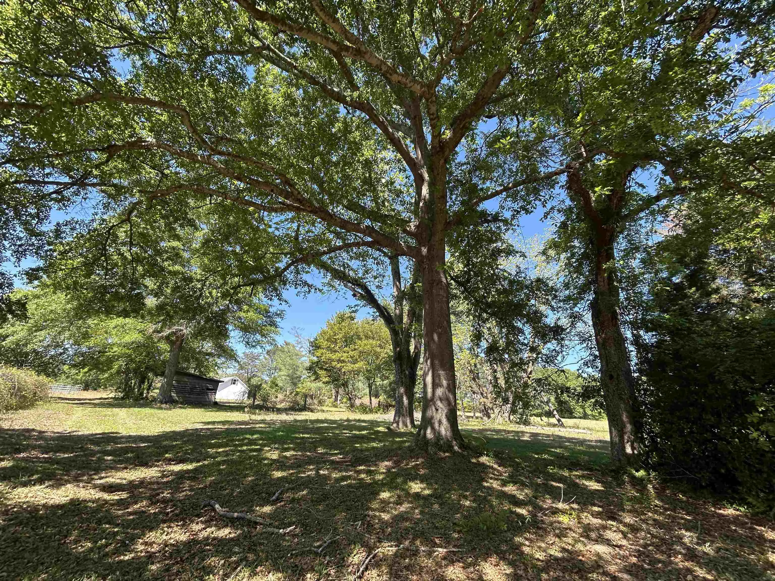 Photo of Listing #2609538