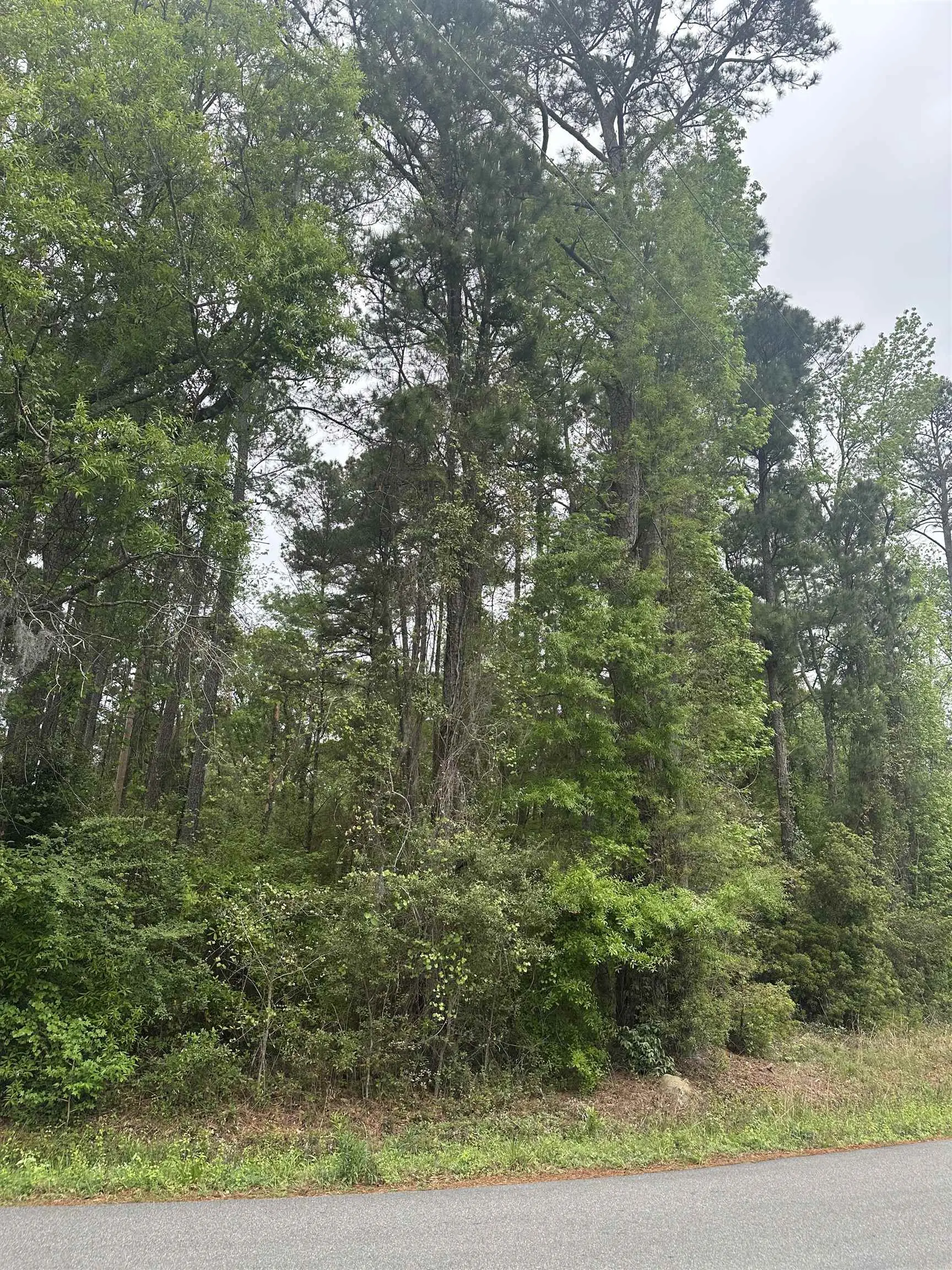 Photo of Listing #2609676