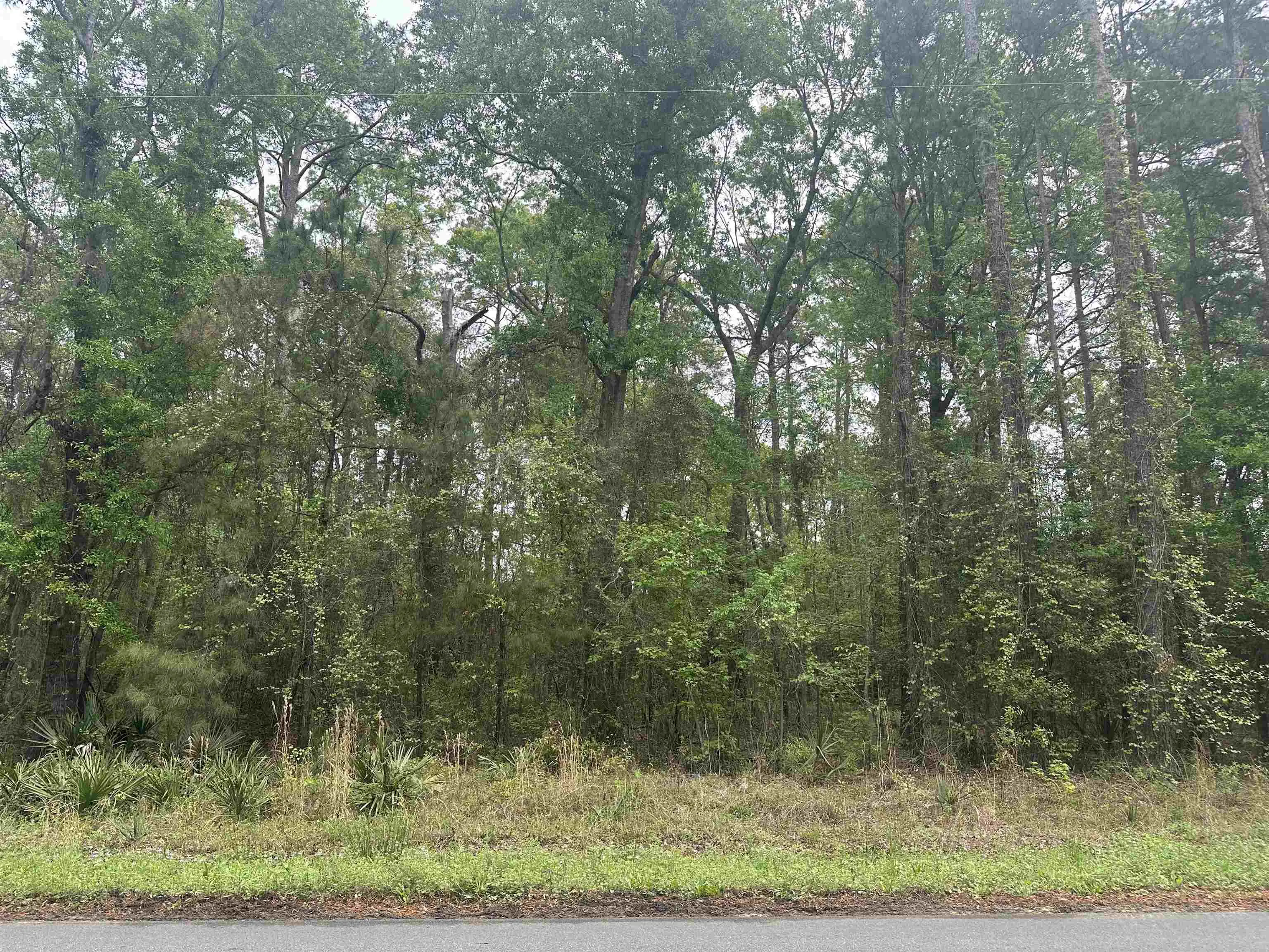 Photo of Listing #2609679