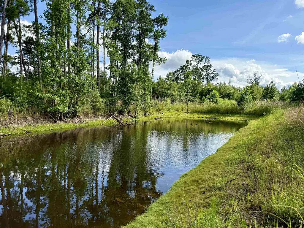 85± Acres - Muddy Creek Rd., Johnsonville