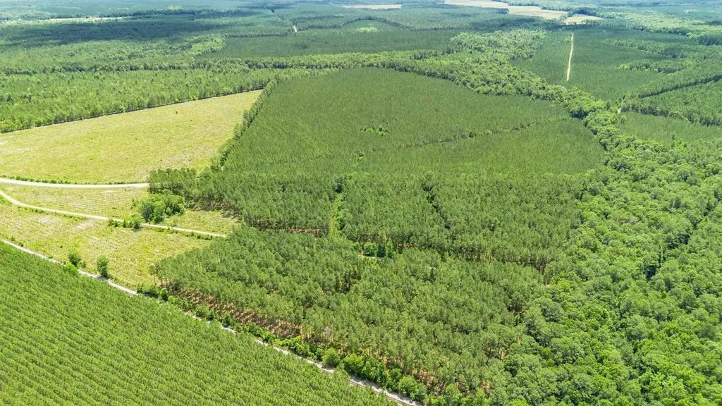 Tbd Ten Acre Rd., Andrews