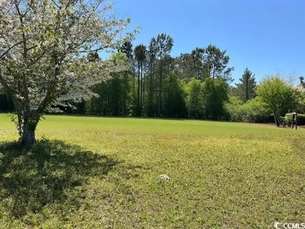 12727 Ocean Hwy., Pawleys Island