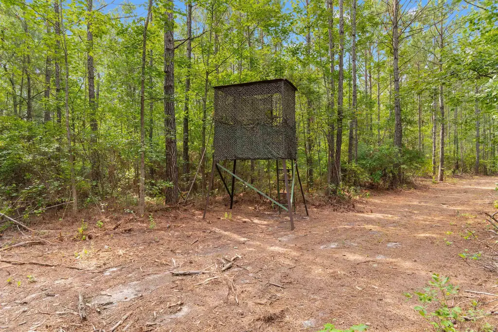 155.81 Acres - Roper Woods Rd., Lake City