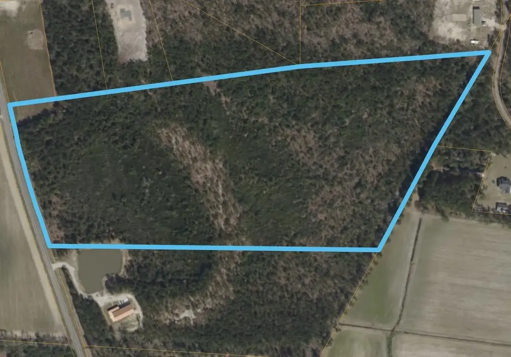 Tbd Mill Pond Rd., Galivants Ferry