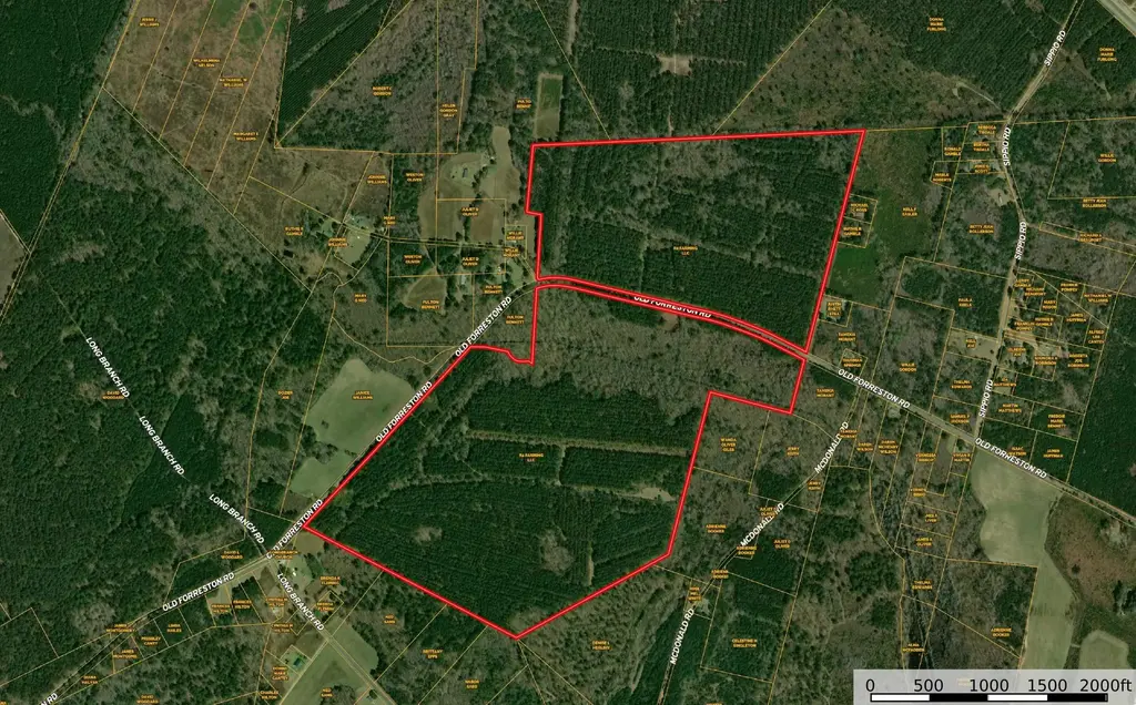 Old Forreston Rd., Greeleyville
