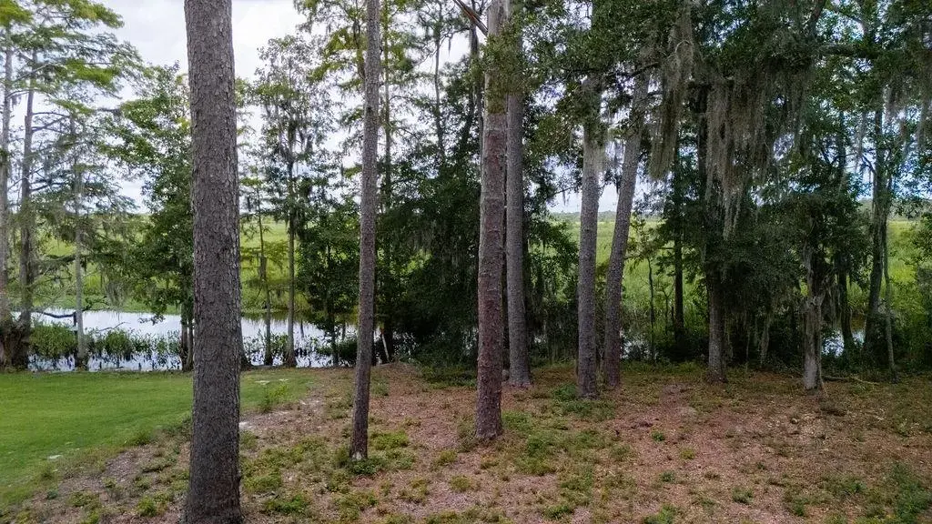 Cabaniss Ln., Pawleys Island