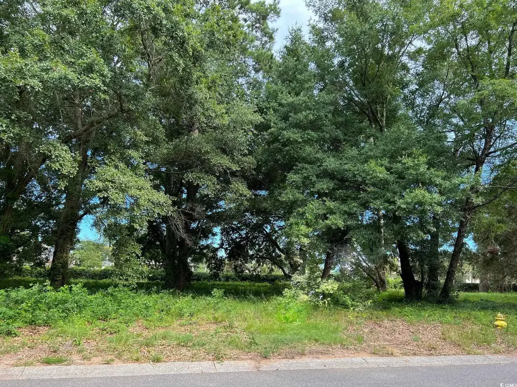 Portion Wall St., Pawleys Island