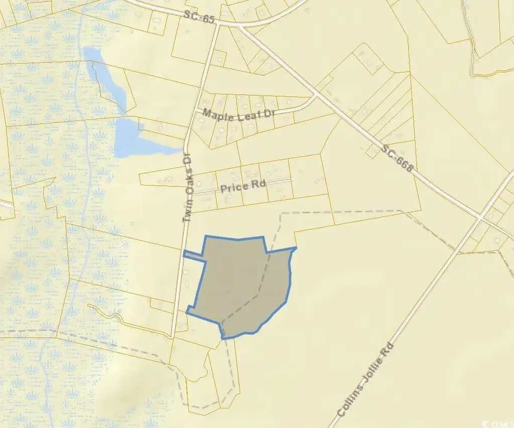 Tbd Twin Oaks Dr., Conway