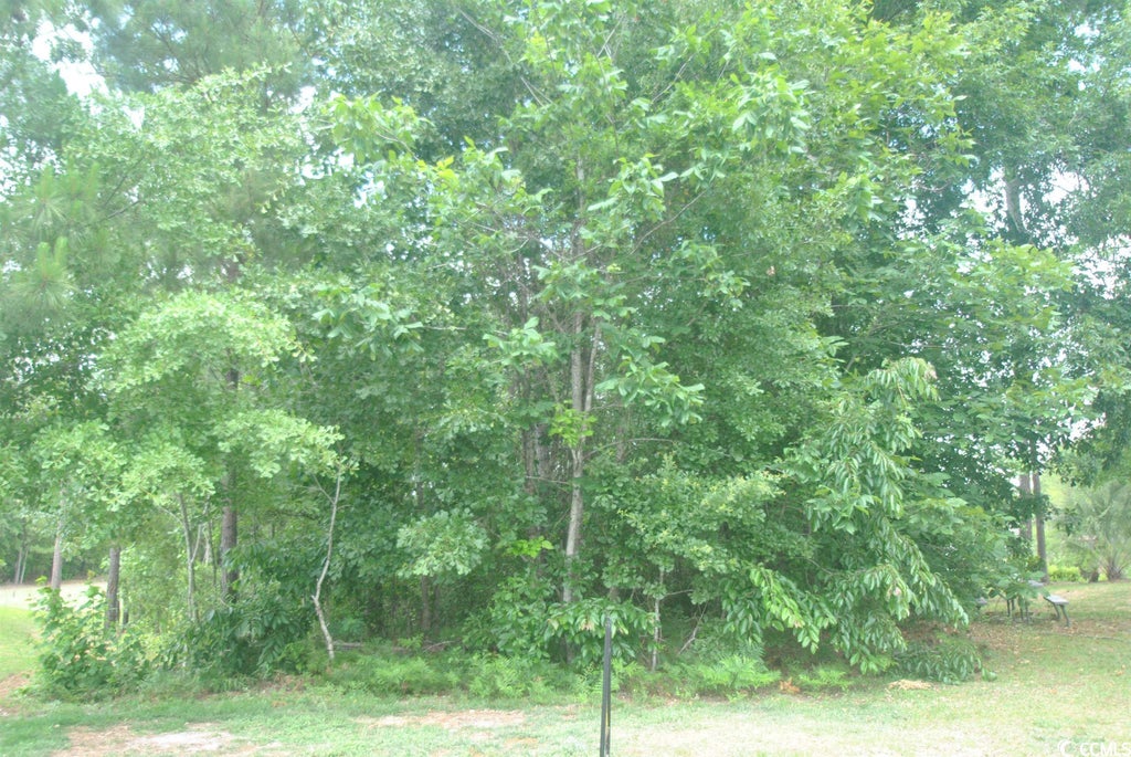 2012 Spring Valley Ct., Loris Property Listing MLS® 2309775