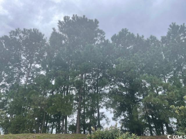 Photo of Listing #2320710