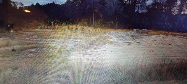 Photo of Listing #2321941