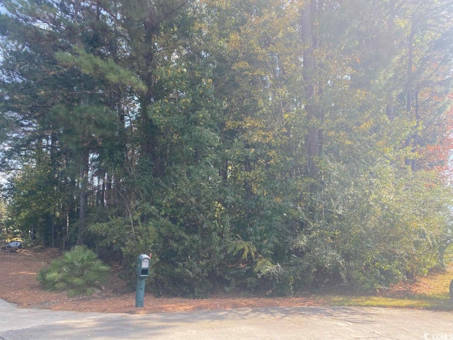 Photo of Listing #2322986