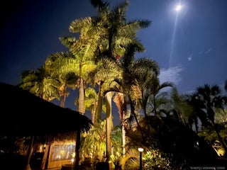 Photo of Listing #M20048500