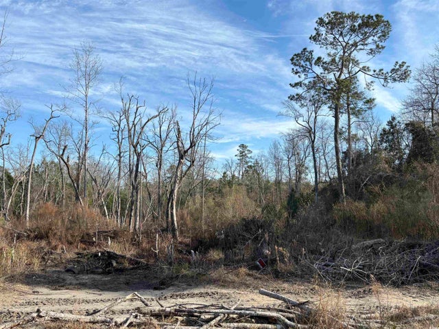 Photo of Listing #2502469