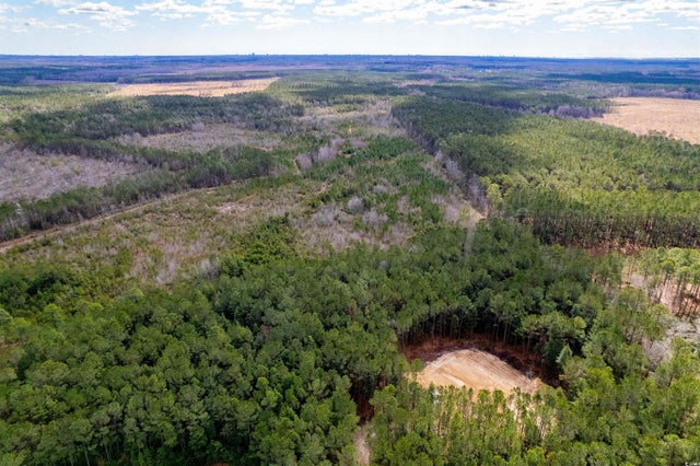 Photo of Listing #2505828