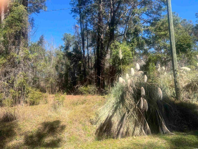 Photo of Listing #2509726