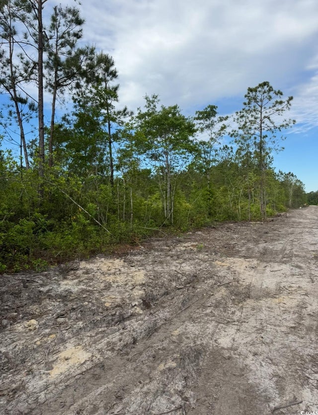 Photo of Listing #2510748