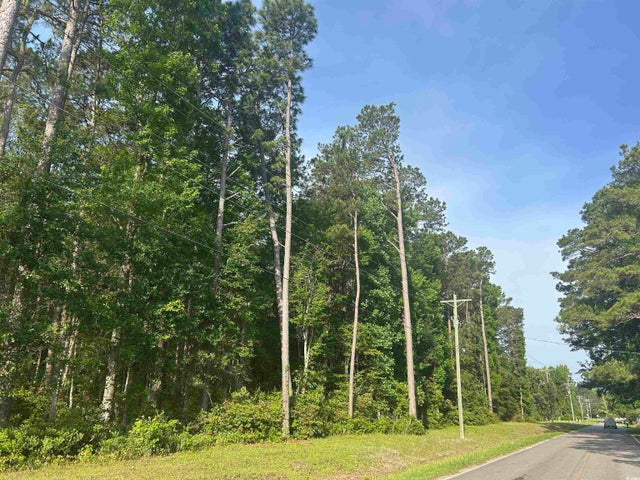 Photo of Listing #2512596