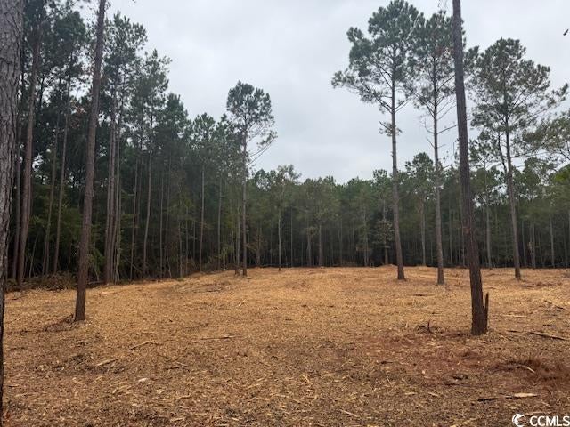 Photo of Listing #2514511