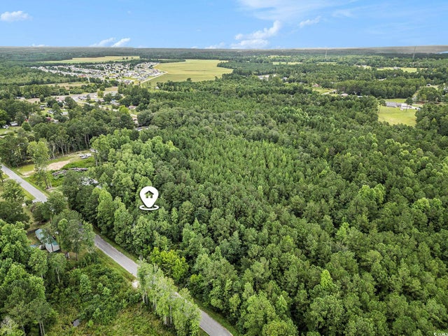 Photo of Listing #2517547