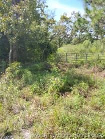 16272 296th Street, Okeechobee