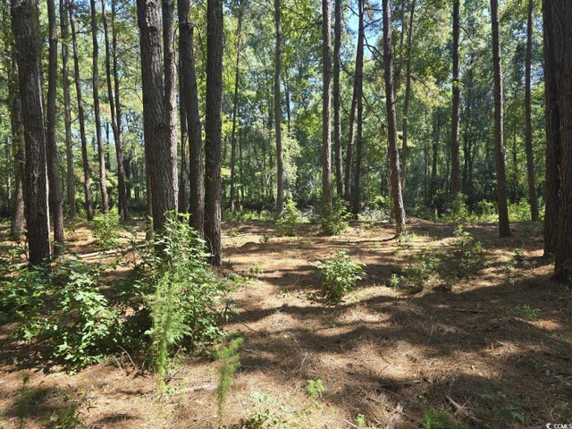 Photo of Listing #2522811