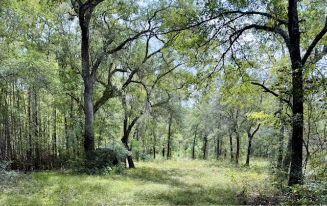 Photo of Listing #2522839