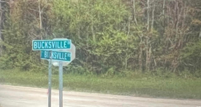 Photo of Listing #2524455